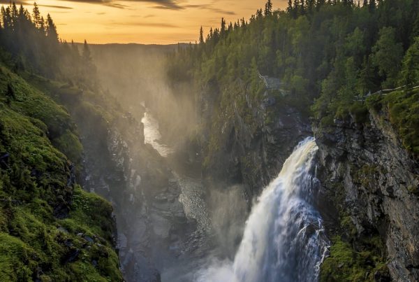 Personalkostnader per anställd